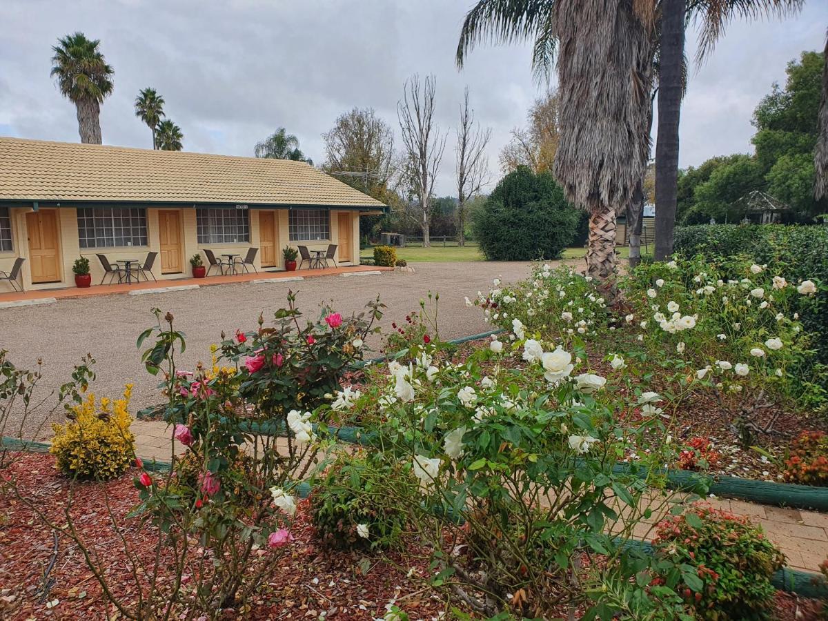 The Aston Motel Tamworth Kültér fotó